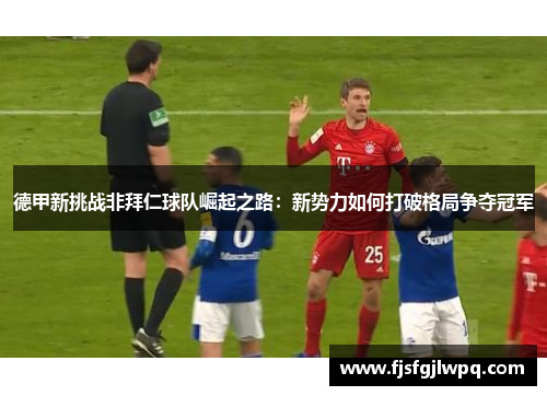德甲新挑战非拜仁球队崛起之路：新势力如何打破格局争夺冠军