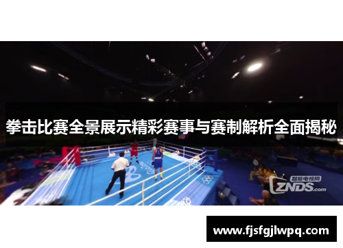 拳击比赛全景展示精彩赛事与赛制解析全面揭秘