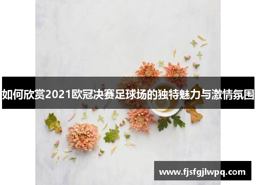 如何欣赏2021欧冠决赛足球场的独特魅力与激情氛围
