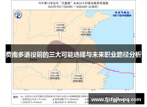 费南多退役前的三大可能选择与未来职业路径分析 费南多退役前的三大可能选择与未来职业路径分析