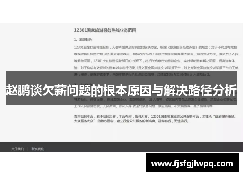 赵鹏谈欠薪问题的根本原因与解决路径分析